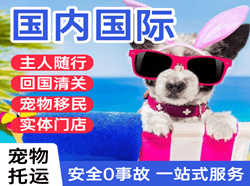贵阳龙洞堡空运代理国际宠物托运 【国